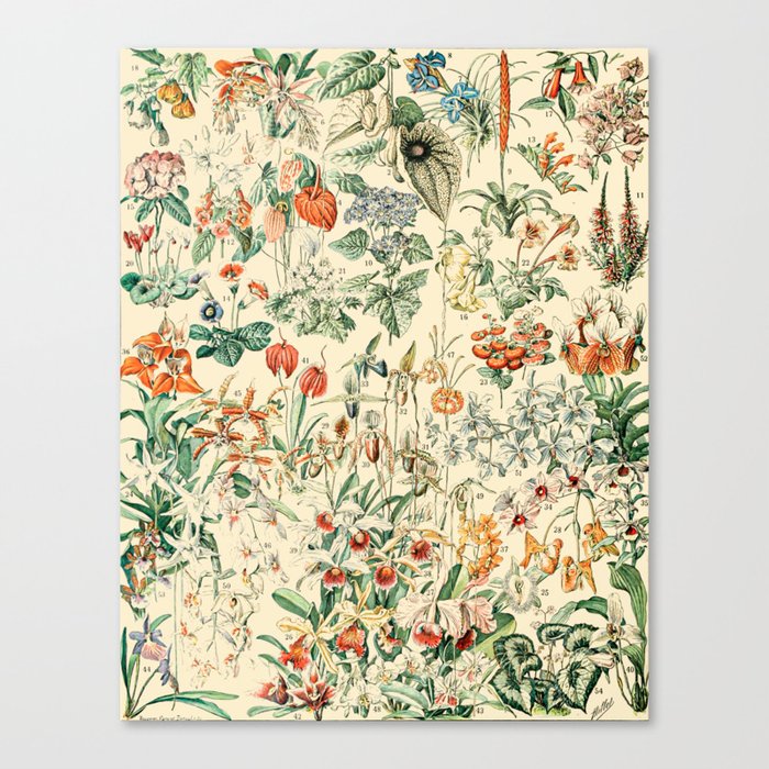 Canvas Print
