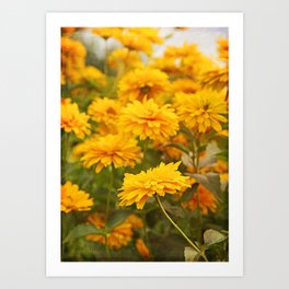 Sunny Yellow Flowers Art Print