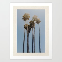 palm trees cxii (2) / santa cruz, california Art Print