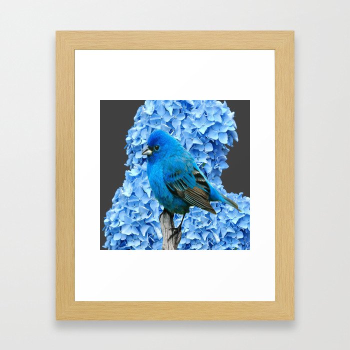 BLUE BIRD & BLUE HYDRANGEAS GREY ART Framed Art Print