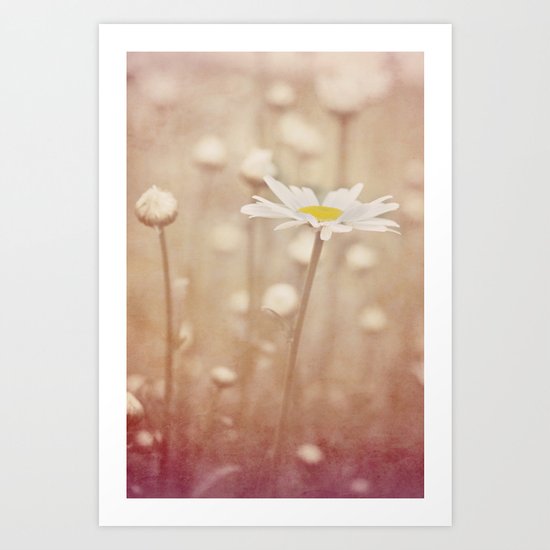 Daisies Art Print