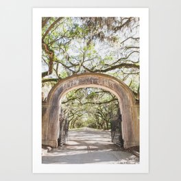 Wormsloe Historic Site Gate and Tree Tunnel - Savannah Photography Art Print