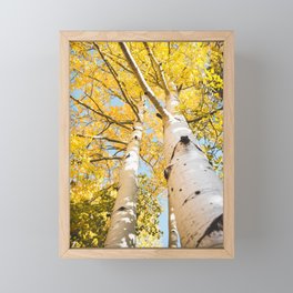 Autumn Yellow Fall Trees Framed Mini Art Print