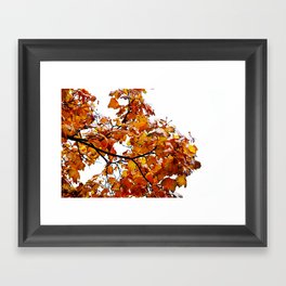 The Autumn II Framed Art Print