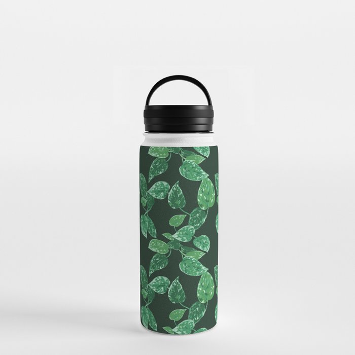 Scindapsus Water Bottle