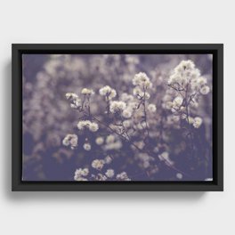 fading autumn - nature wildflower photograph Framed Canvas