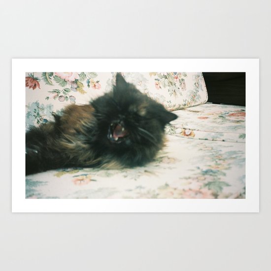 Yawning Kitty Art Print