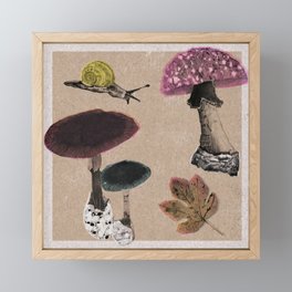 Fantastic Fungi Framed Mini Art Print