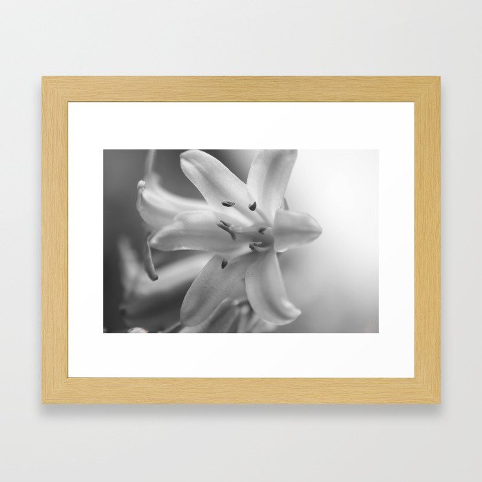 black and white flower Framed Art Print