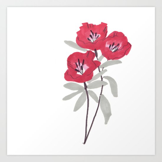 Clarkia Red Flower Art Print