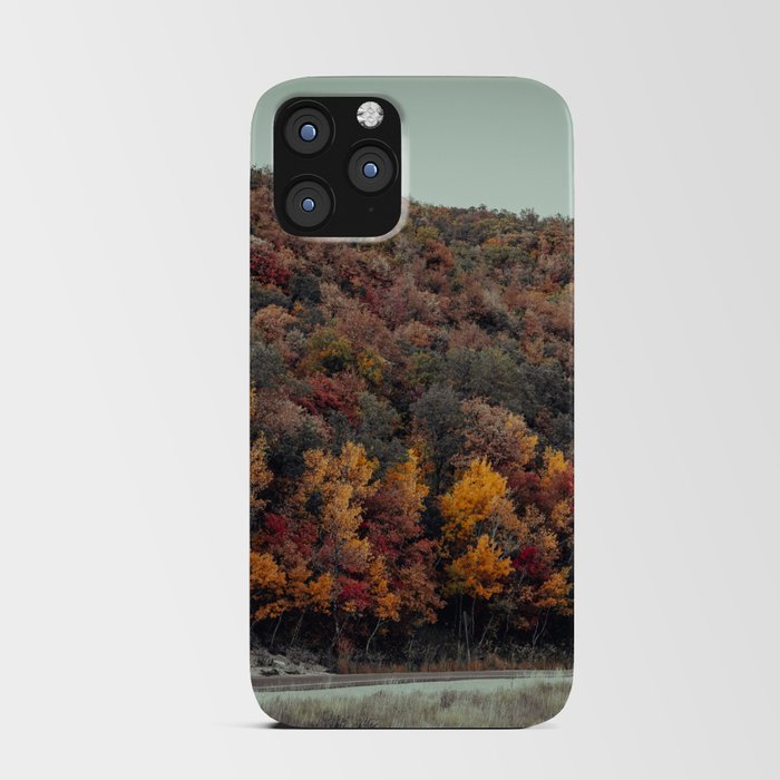 Fall Colors - Dark Theme iPhone Card Case