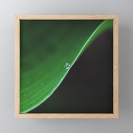 one drop on green Framed Mini Art Print
