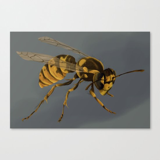 little wasp Canvas Print