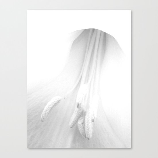 untitled white Canvas Print