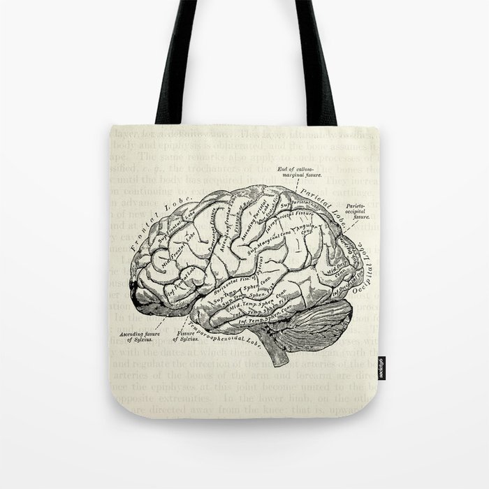 Vintage medical illustration of the human brain Tote Bag