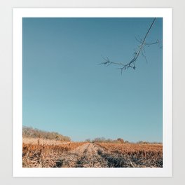 Milo daydreams. Art Print