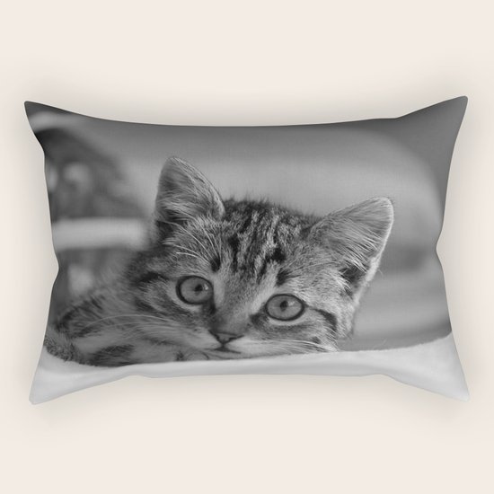 cat Rectangular Pillow