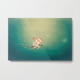 Lady Jellyfish is swimming in the calm sea of Trieste. Metal Print