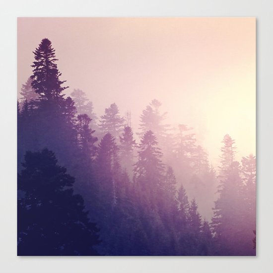 shadow and soul Canvas Print