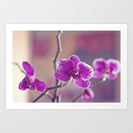 Pretty pink pieces Art Print
