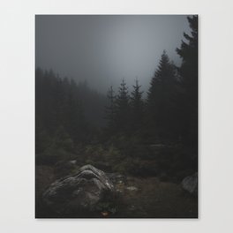 - V - Canvas Print