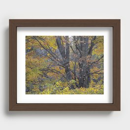 Autumn in the Sylvania Wilderness Recessed Framed Print