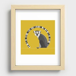 Ring Tailed Lemur Recessed Framed Print