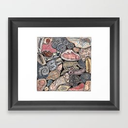 Fossils for history, dinosaur and archaeology lovers Framed Art Print