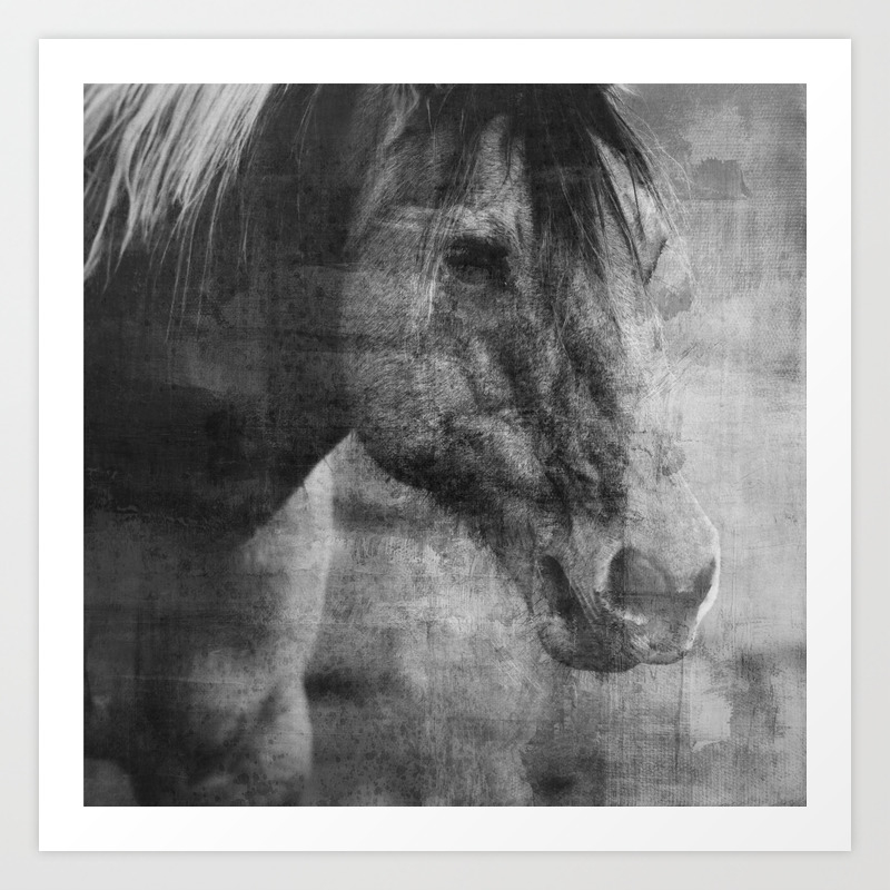 Abstract Horse No 1 Black White Art Print By Studio38103