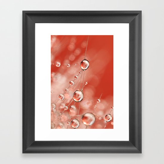 Cactus Rose Drops Framed Art Print