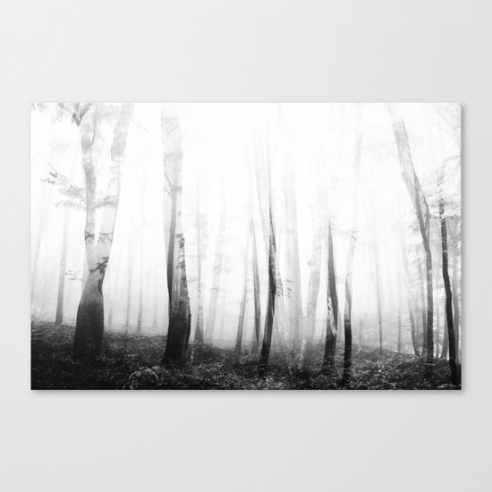 Forest IV Canvas Print