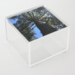 Looking Up Acrylic Box