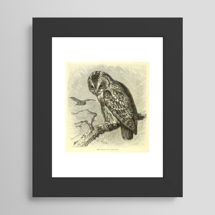 Framed Art Print
