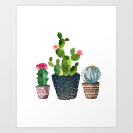 Watercolor Succulent Art Prints For Any Decor Style Society6