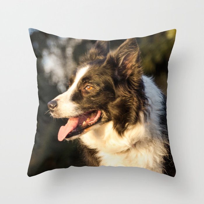 border collie throw pillow