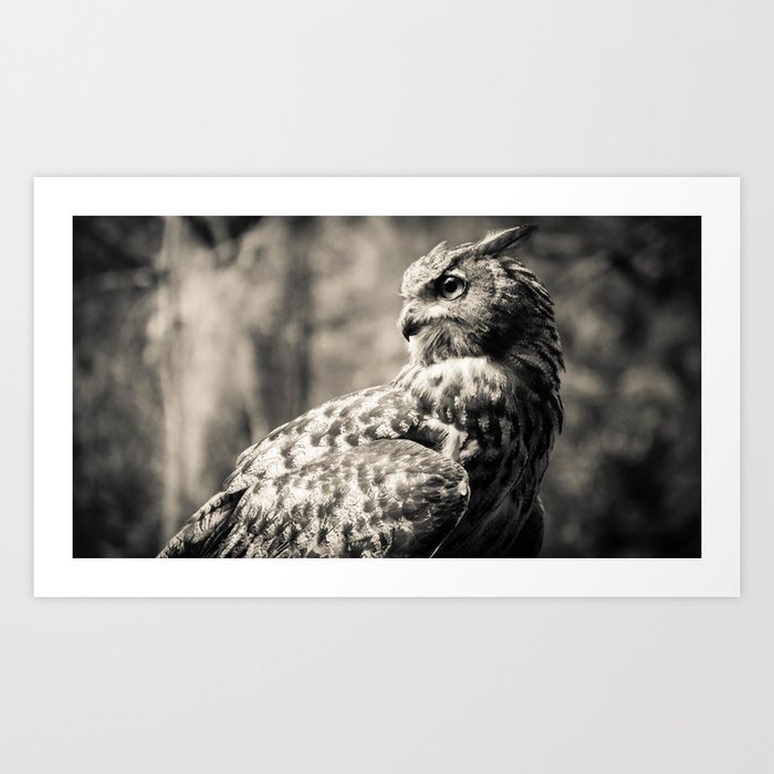 Eagle Owl Art Print