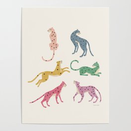 Leopard Rainbows Poster