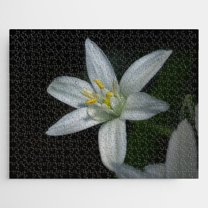 Macro photo of a white flower Jigsaw Puzzle