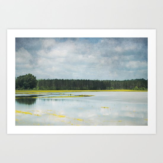 Reflective Field Art Print