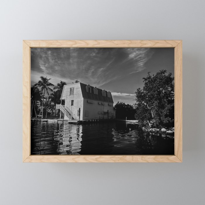 House in the Mangroves Framed Mini Art Print