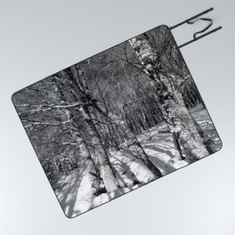 Birch Trees in the Snow in Black and White Picnic Blanket