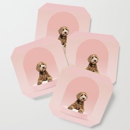 Goldendoodle Laying on Pastel Pink Podium Coaster