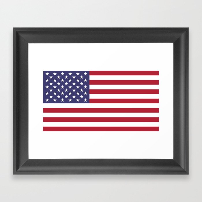 USA flag Framed Art Print