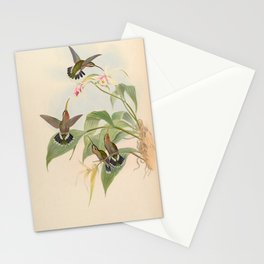 Rucker's Hermit Hummingbird by John Gould, 1861 (benefitting the Nature Conservancy) Stationery Card