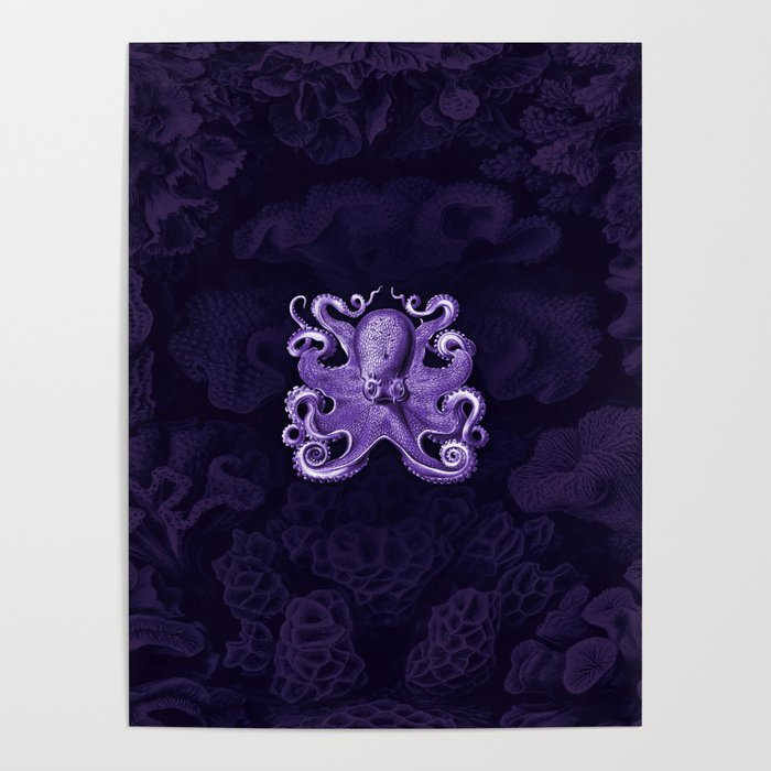 Octopus1 (Purple, Square) Poster