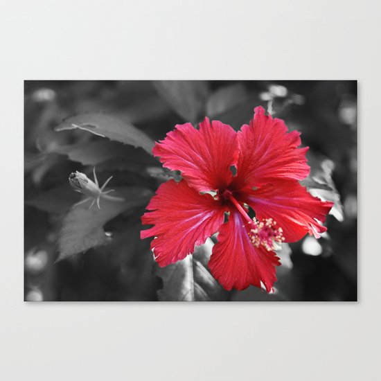 Color my Garden Red Canvas Print
