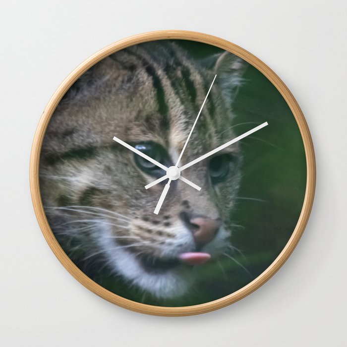 diving cat Wall Clock