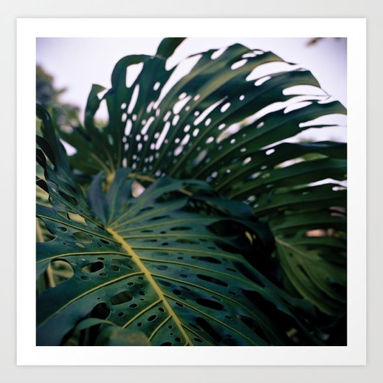 Holy Palms Art Print