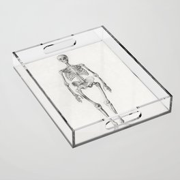 Human Skeleton, Anterior View Acrylic Tray
