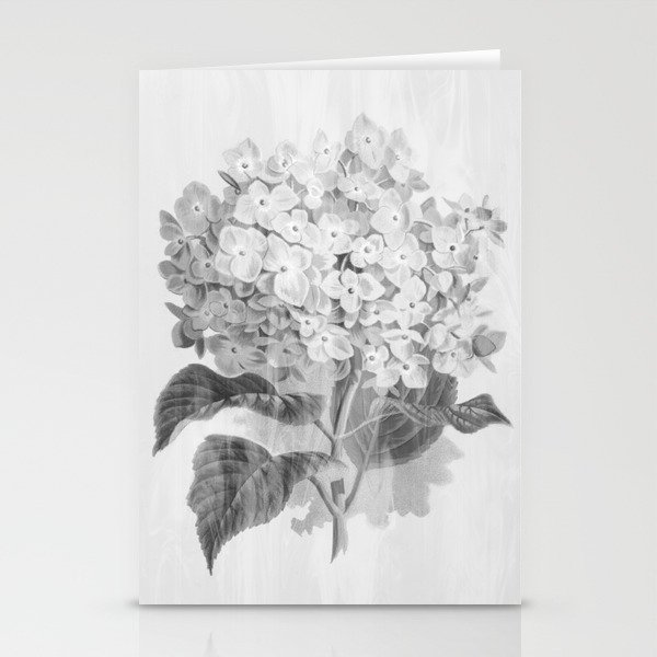 Distressed Hydrangea {grey ~ white} Stationery Cards
